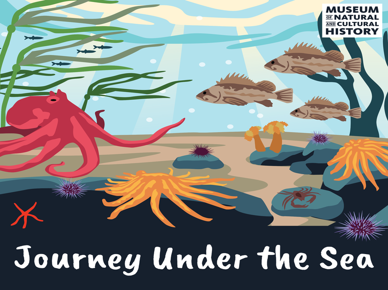 2024 0718 Journey Under the Sea SM.png