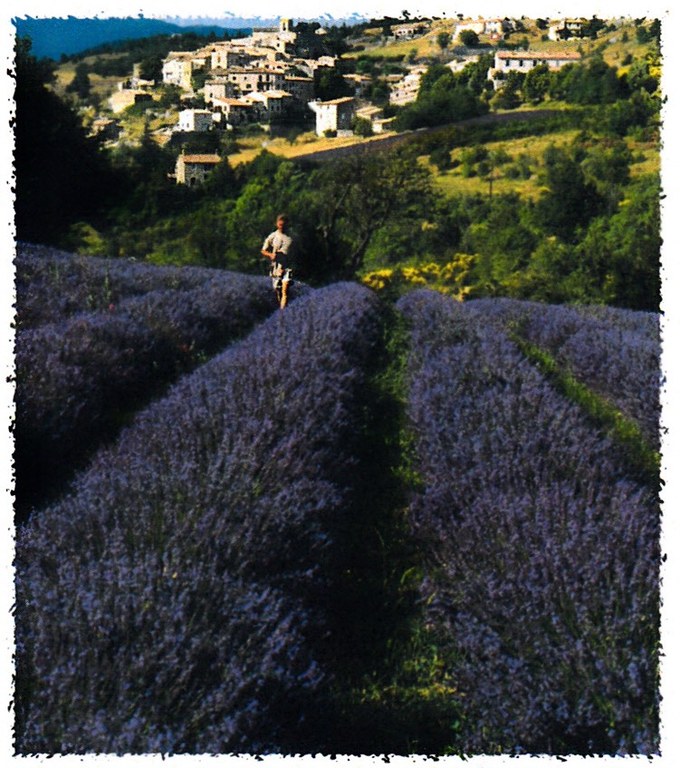 La Belle Provence