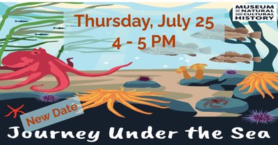 Summer Reading Program Summer Reading Program