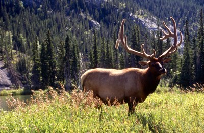 World Cultures & Travel World Cultures & Travel